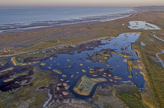 Discover Rye Harbour Nature Reserve